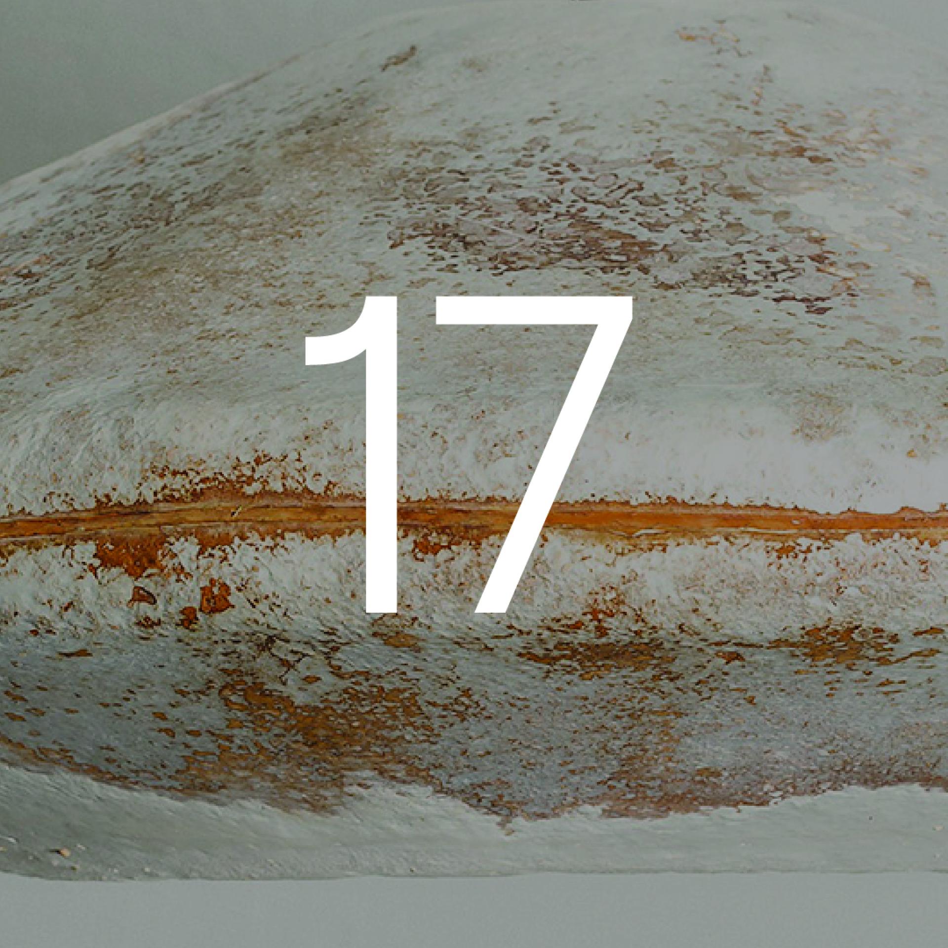 24 bio and by-product based materials for 2024.