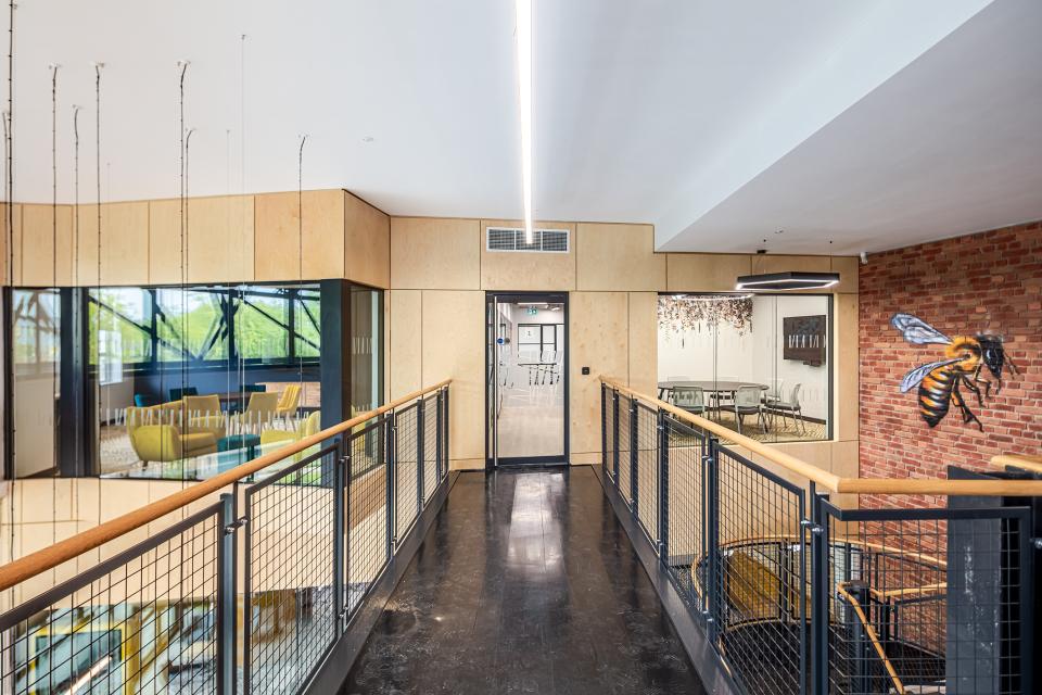 Modern workspace interior featuring open corridor, glass meeting rooms, and a vibrant bee mural at The Bee House.