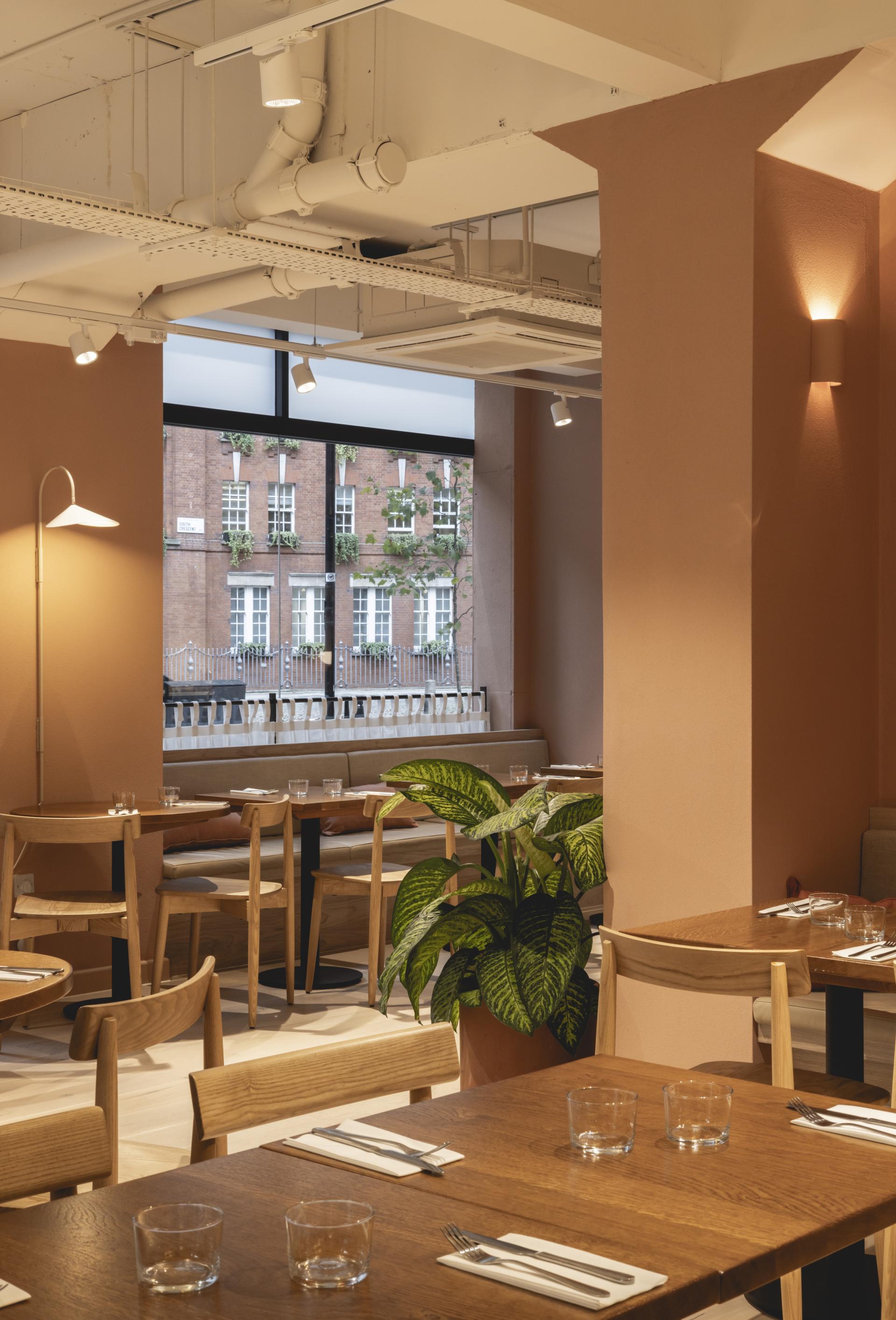 Modern dining space featuring rich terracotta tones, wooden tables, and greenery, designed by Studio Found for Honey & Co.