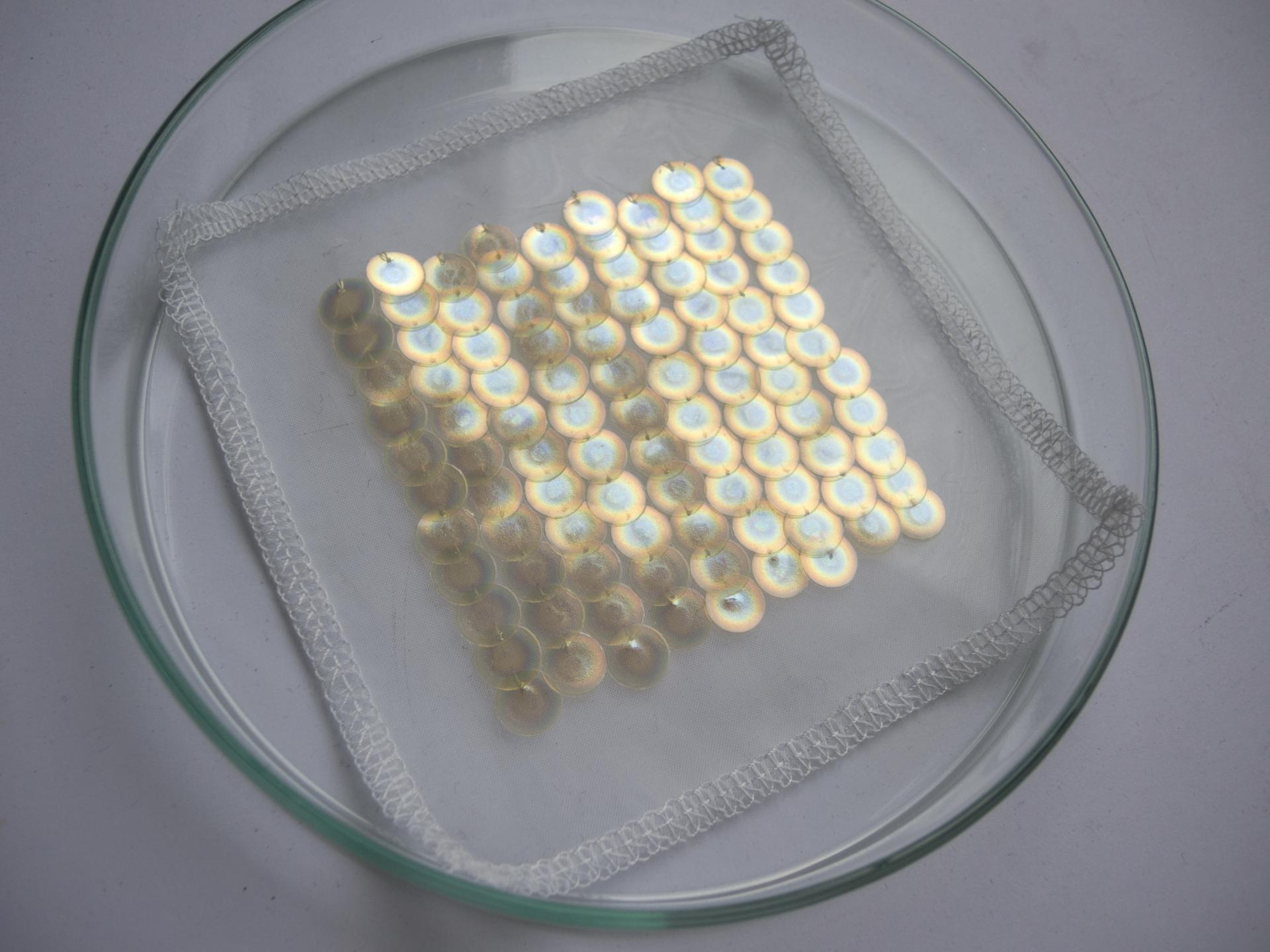 Translucent bio iridescent sequins arranged in a petri dish, showcasing sustainable, colorful materials from wood waste.