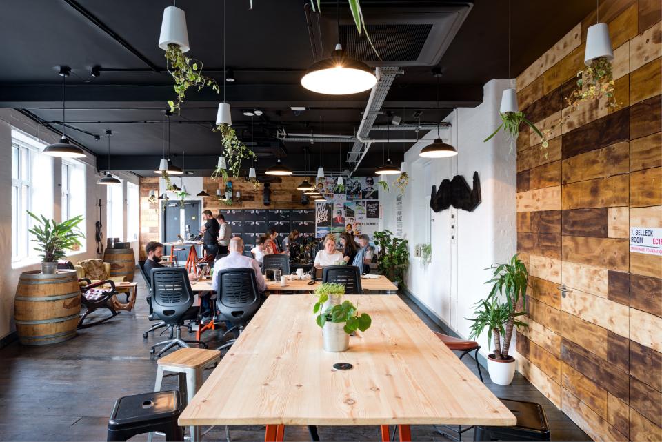 Industrial-style office interior of Movember Foundation's headquarters, featuring plants, wooden elements, and collaborative workspaces.