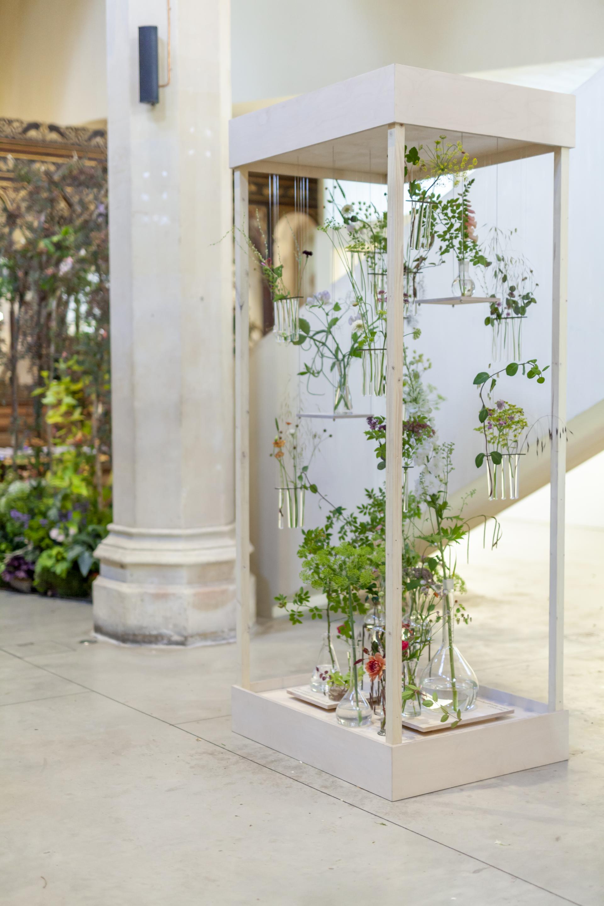 Floral installation featuring various plants in test tubes, displayed in a minimalist wooden frame.