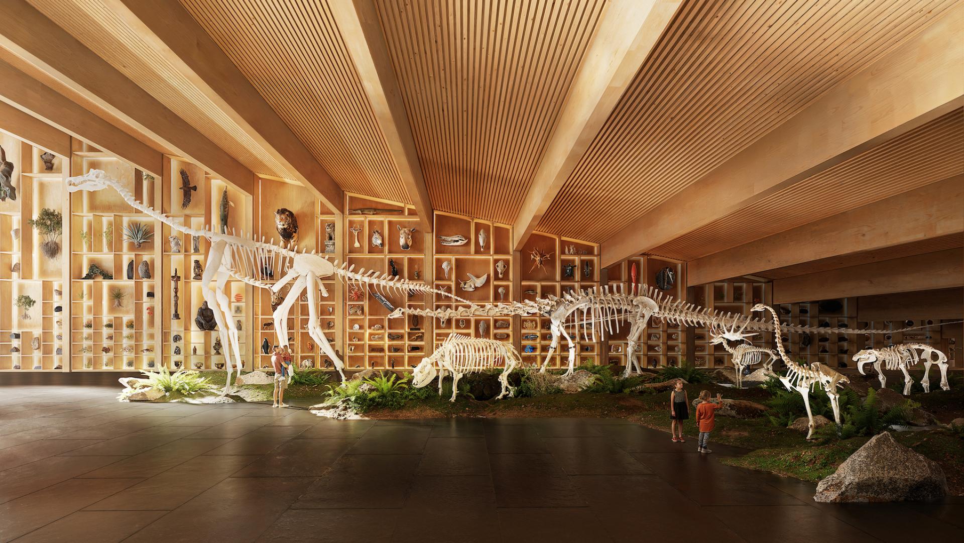 Image of dinosaur skeletons in a gigantic wooden hall
