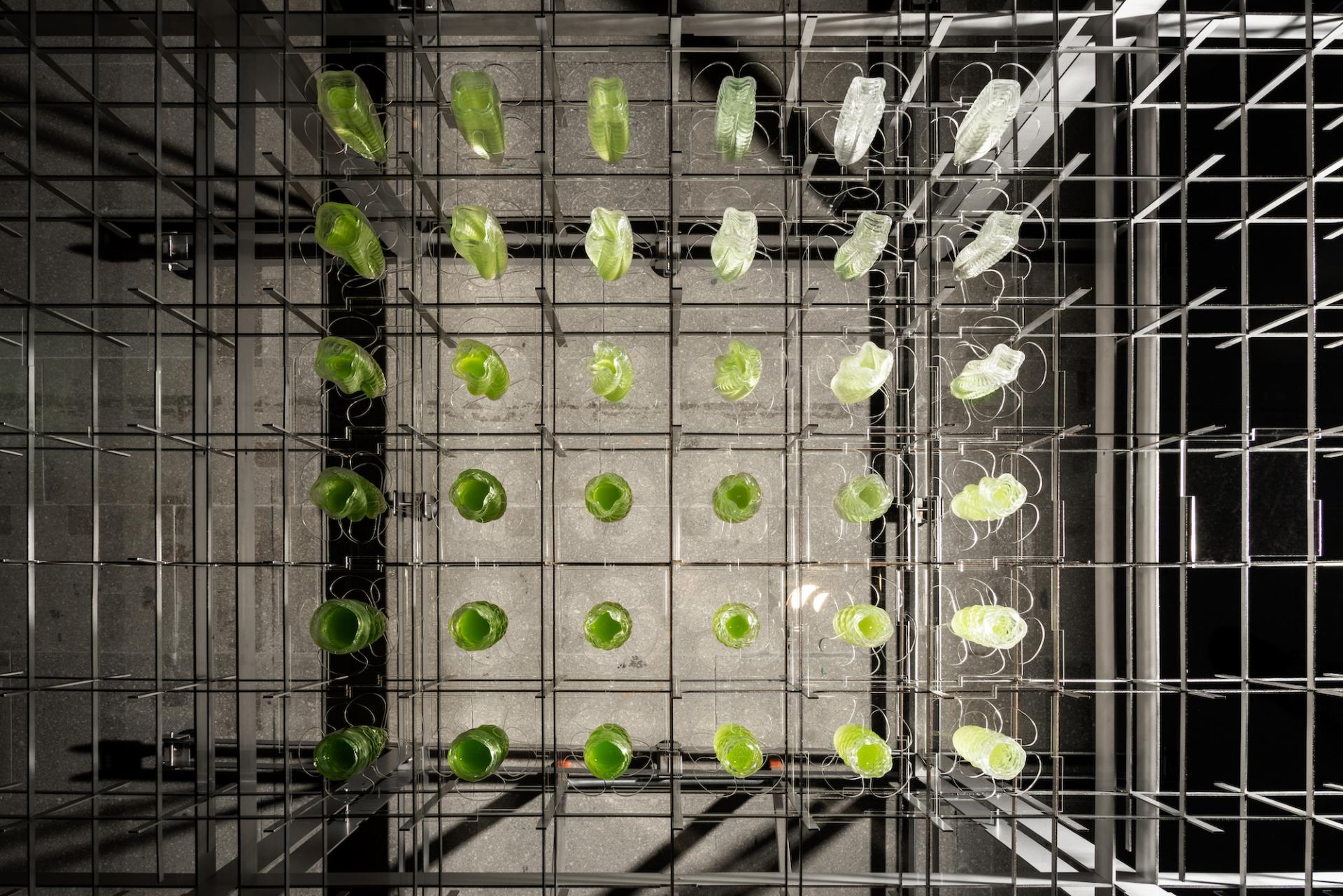 Biotech architecture display featuring green biophilic structures arranged in a grid within a modern framework.