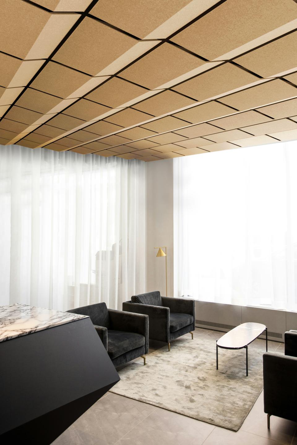 Stylish acoustic ceiling tiles in a modern interior design setting, enhancing aesthetics and sound quality in the space.
