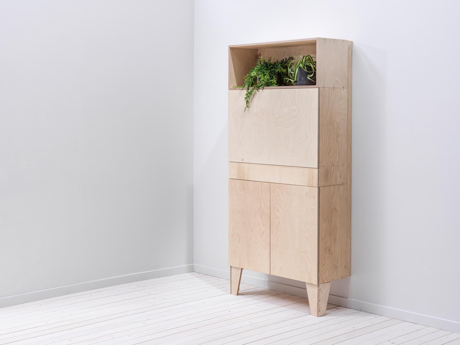 Bespoke modular storage unit crafted from wood, featuring a plant display, against a minimalist background in a workspace setting.
