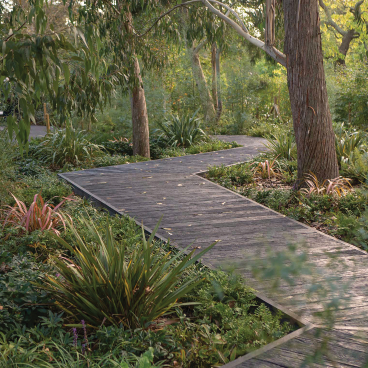 Curved wooden pathway surrounded by lush greenery at the Royal Botanic Gardens, Kew, highlighting Japanese-inspired landscape design.