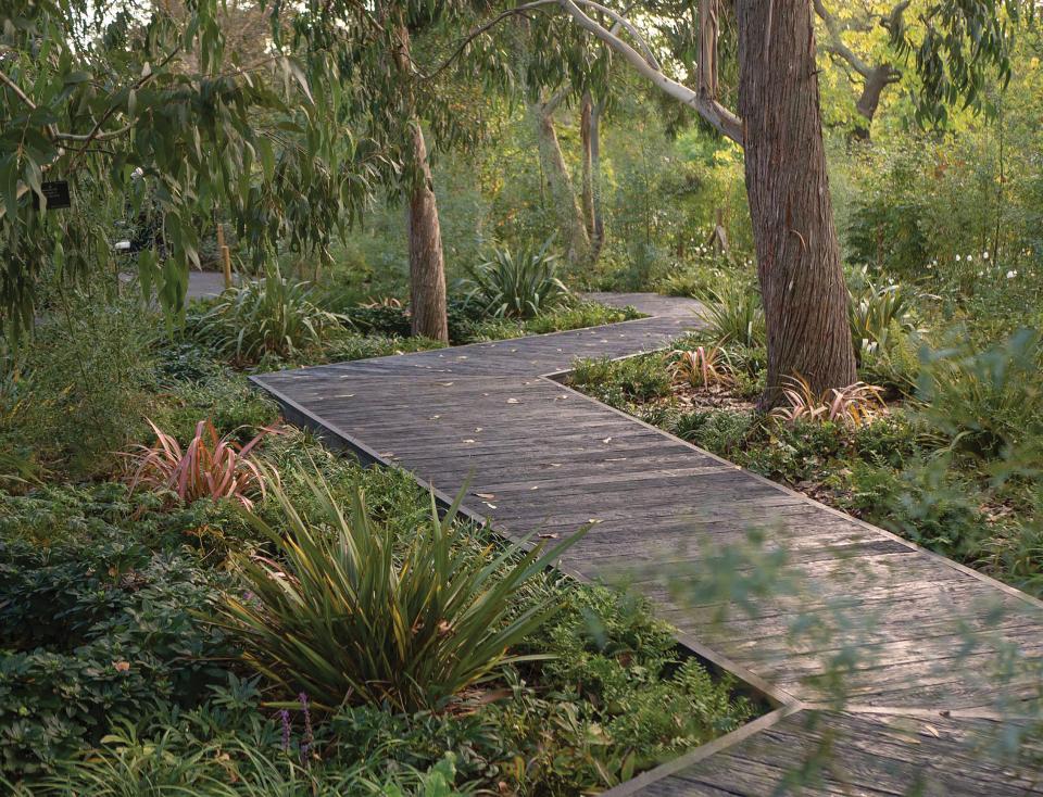 Curved wooden pathway surrounded by lush greenery at the Royal Botanic Gardens, Kew, highlighting Japanese-inspired landscape design.