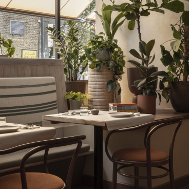 Charming café interior at Honey & Co Bloomsbury with plants, wooden furniture, and natural light accents.