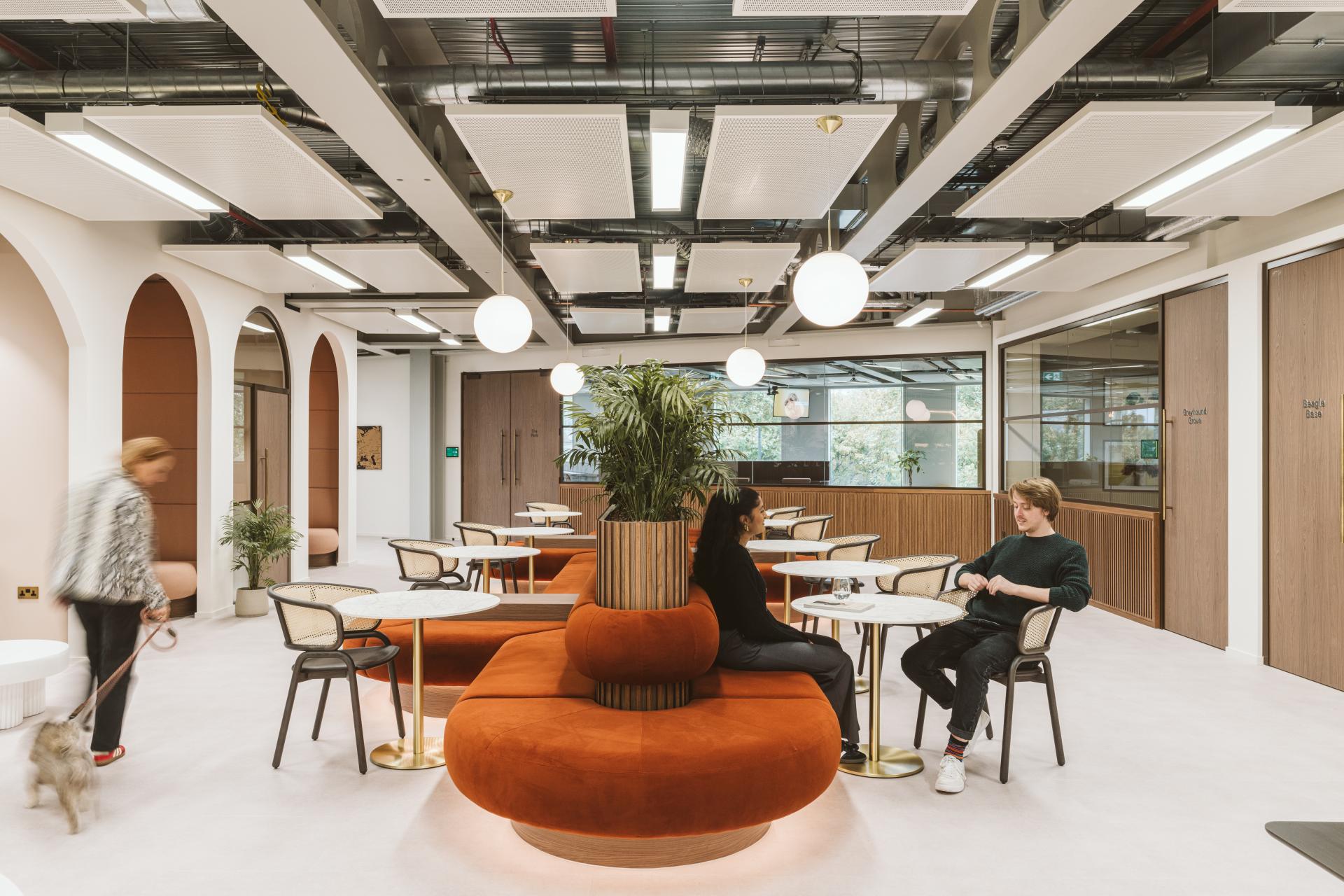 Modern workspace featuring comfortable seating, greenery, people interacting, and a dog, promoting a pet-friendly environment for Butternut Box.
