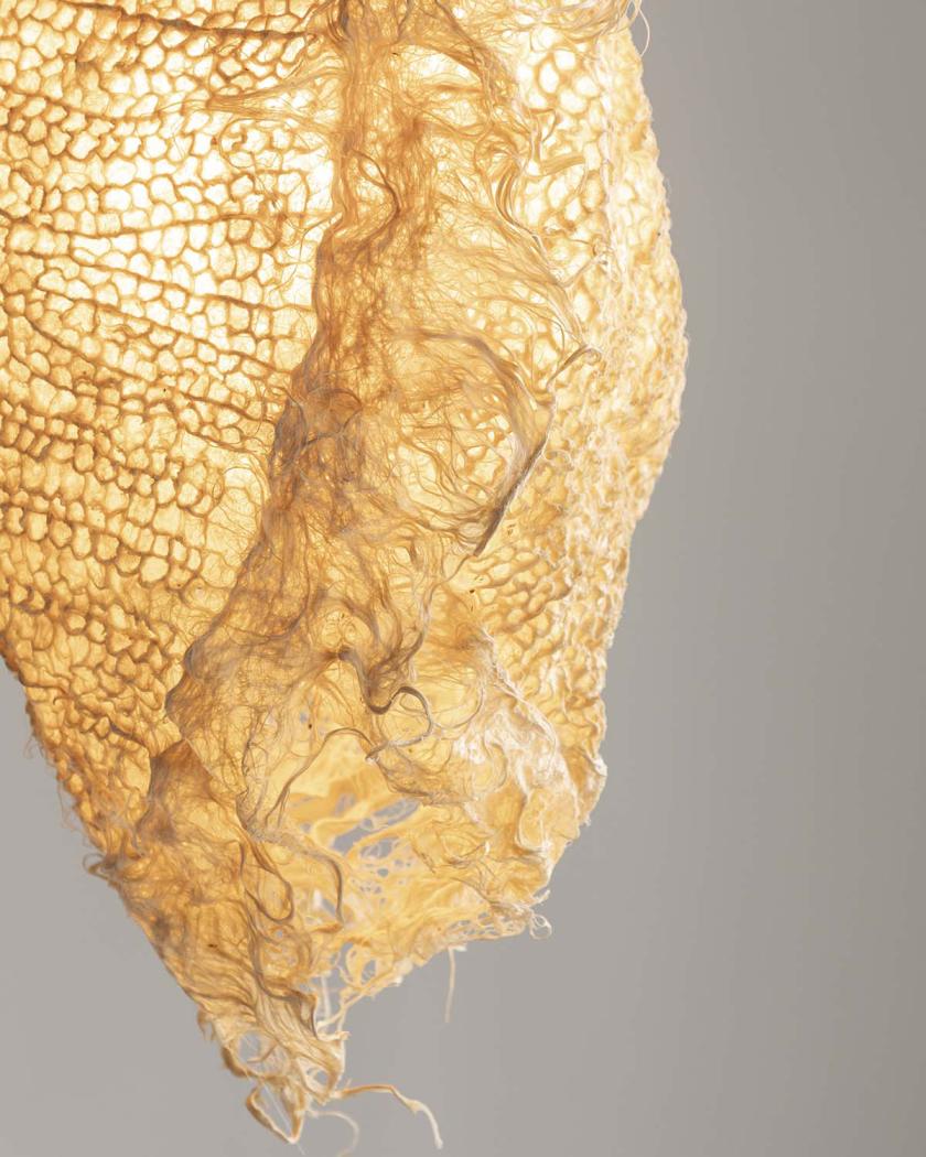 Future Materials Library™: How do we define sustainability?