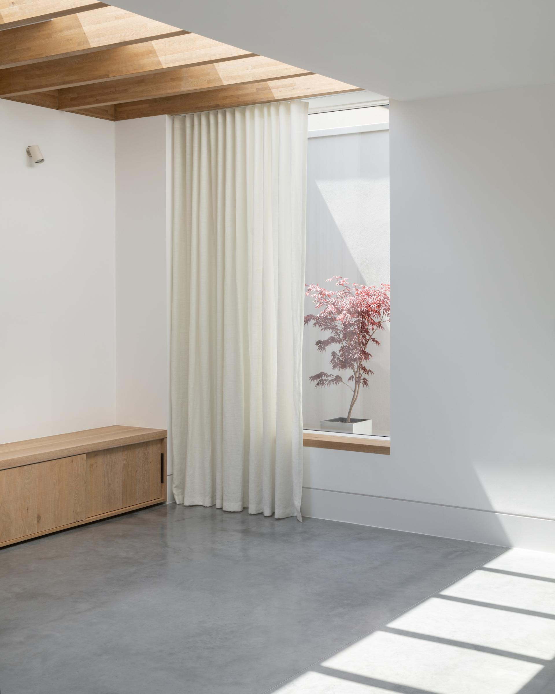 Bright interior of a modern hipped house featuring light wood accents, a concrete floor, and a serene plant by a window.