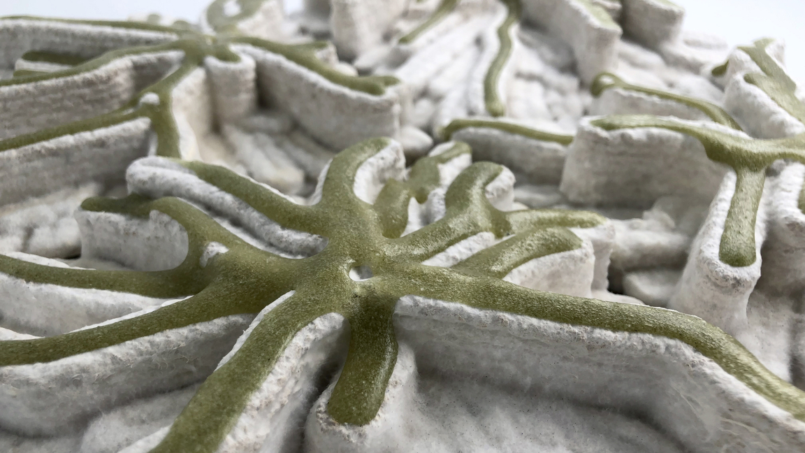 Detailed close-up of MYCO-ALGA's 3D-printed mycelium and algae interior tiling system, showcasing its unique texture and design.