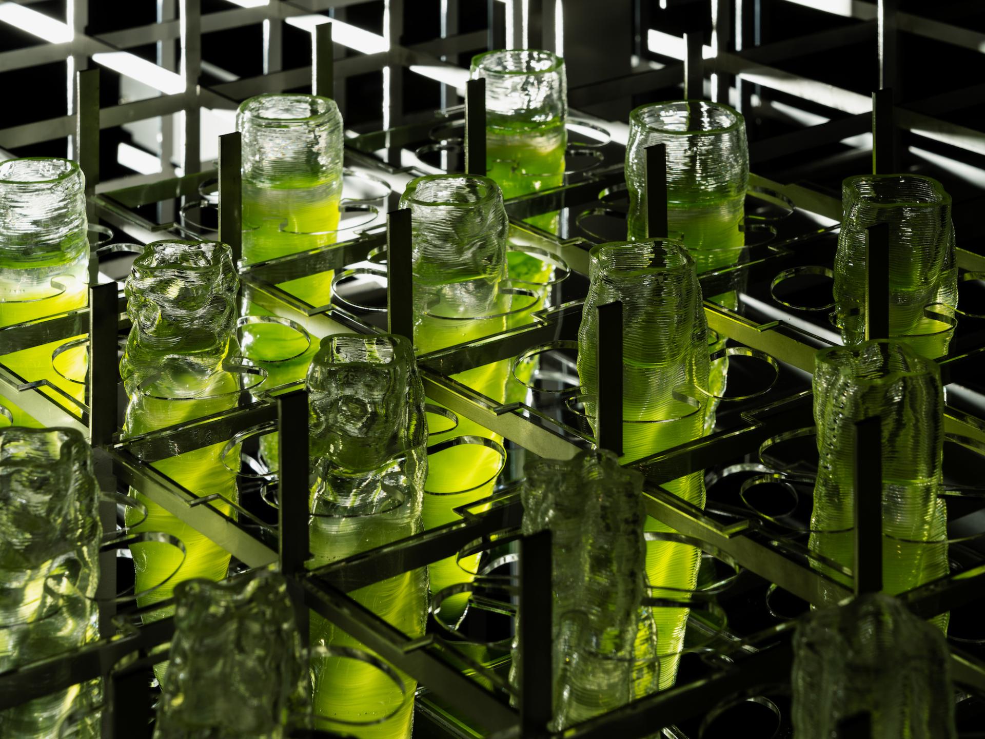 Transparent structures containing green liquid arranged within a grid, illustrating biotechnology in architectural design.