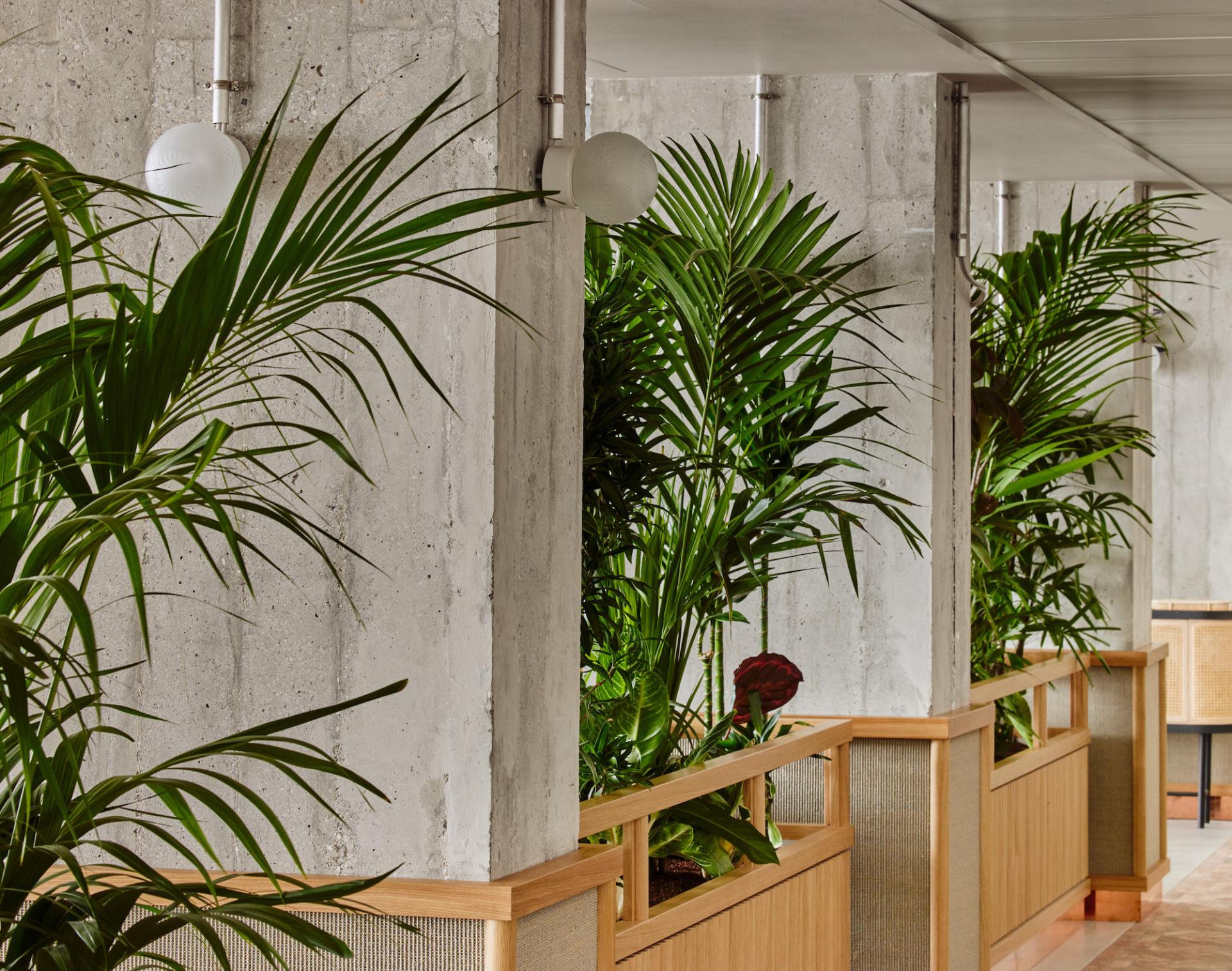 Modern interior of WunderLocke in Munich, featuring lush greenery, concrete walls, and stylish wooden accents.