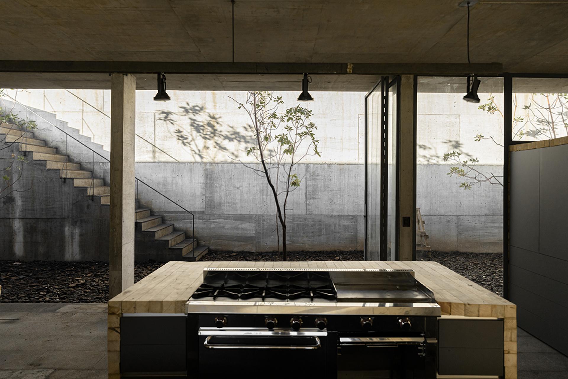 Modern kitchen in Avocado House, featuring a stainless steel stove, concrete walls, and natural light from large windows.