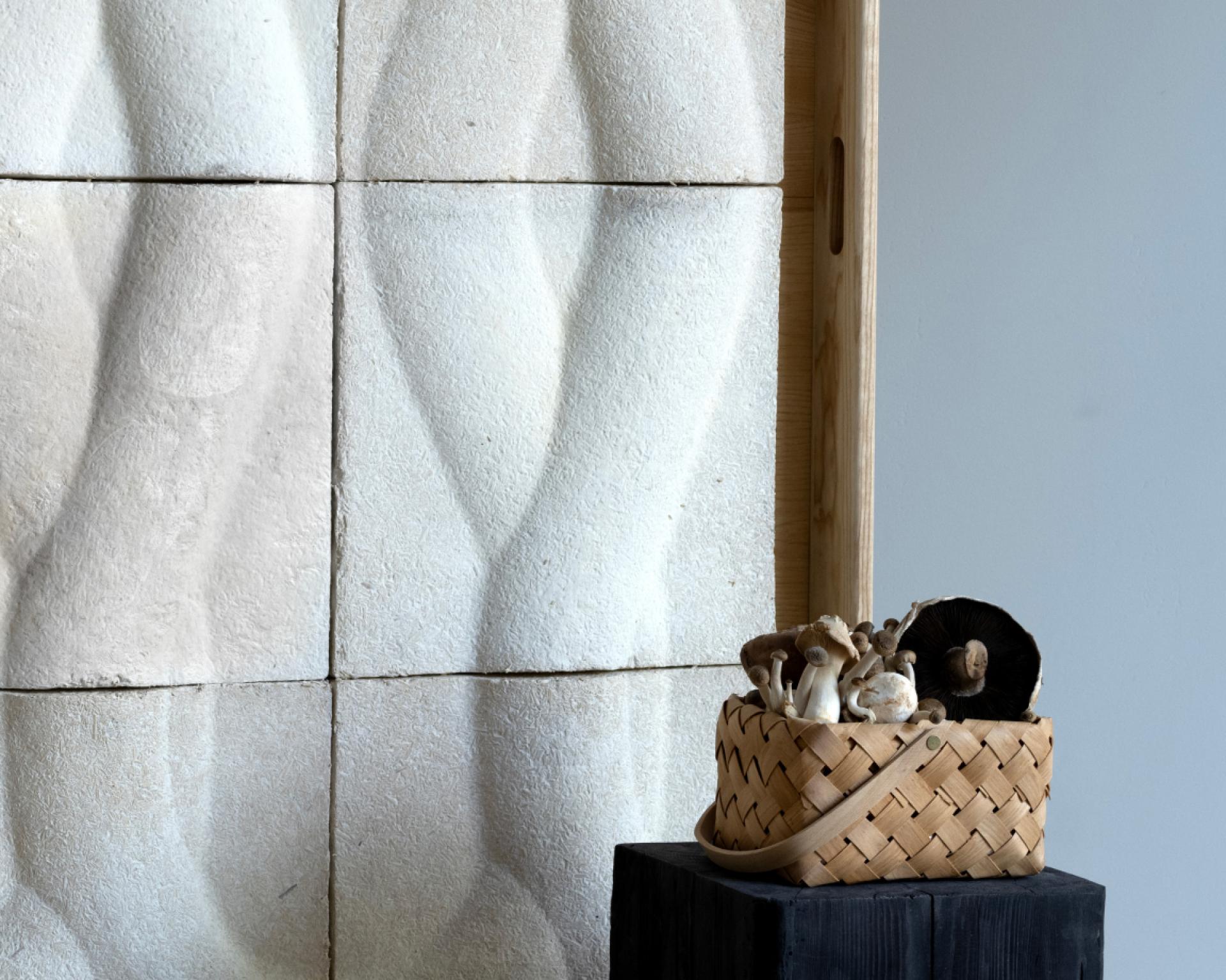 Sustainably crafted basket filled with various mushrooms, against textured eco-friendly wall panels.
