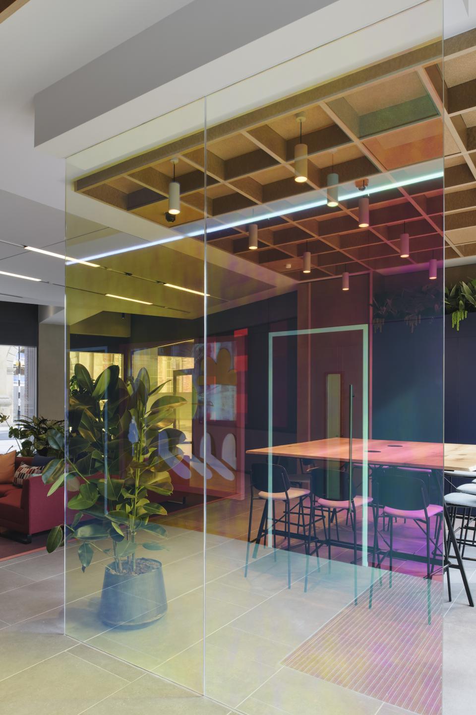 Modern glass partition showcasing colorful interior design elements and plants at Globe Point, Leeds, by Ekho Studio.