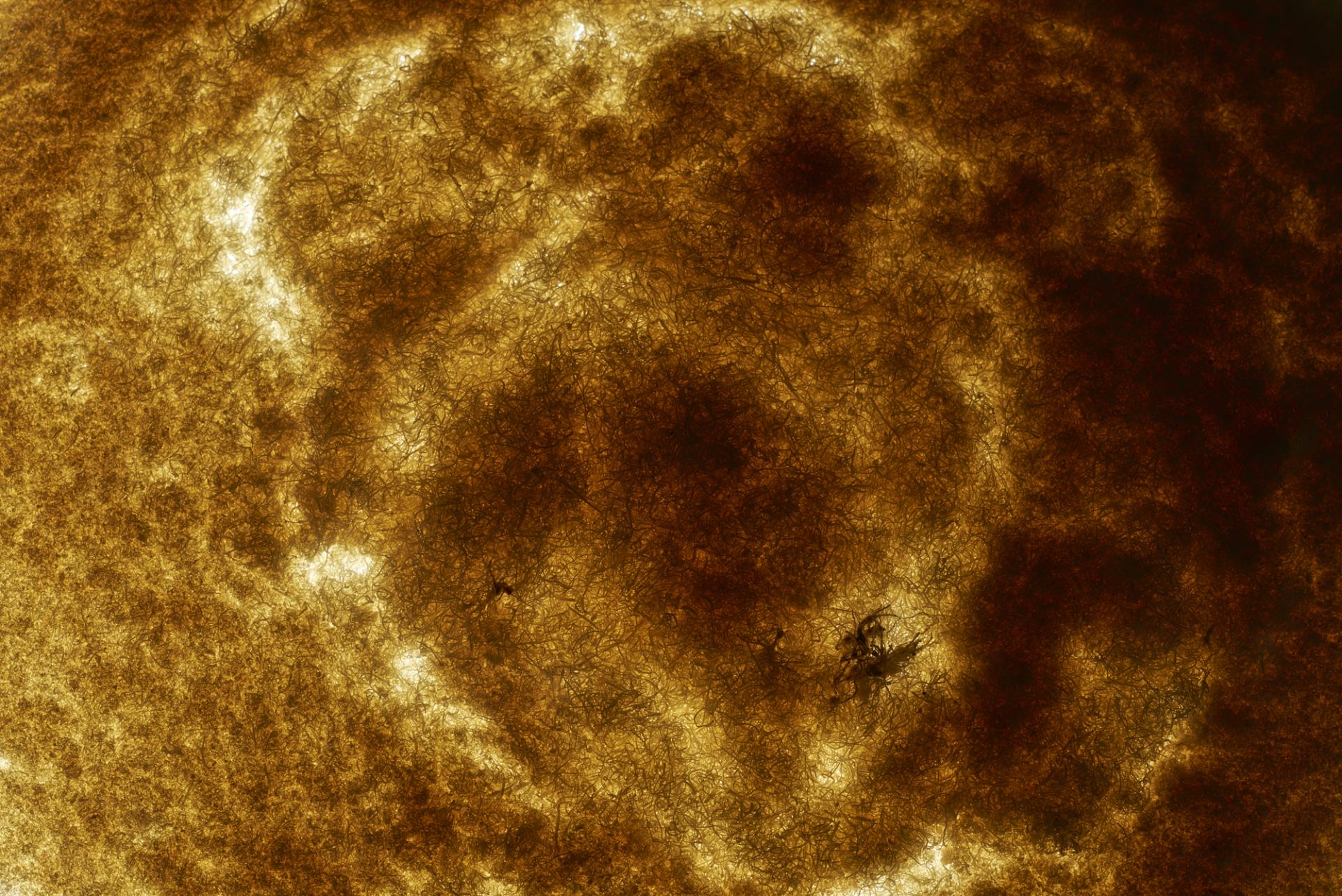 Abstract close-up of natural fibers, illustrating Agnė Kučerenkaitė's design focus on raw materials and waste re-identification.