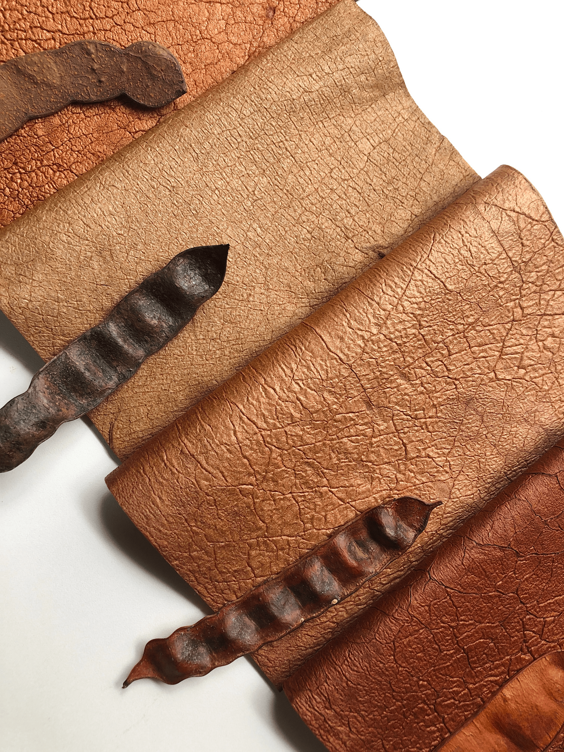 Bioleather samples in earthy tones showcasing MABE Bio's sustainable materials alongside seeds, emphasizing innovation in cleantech.