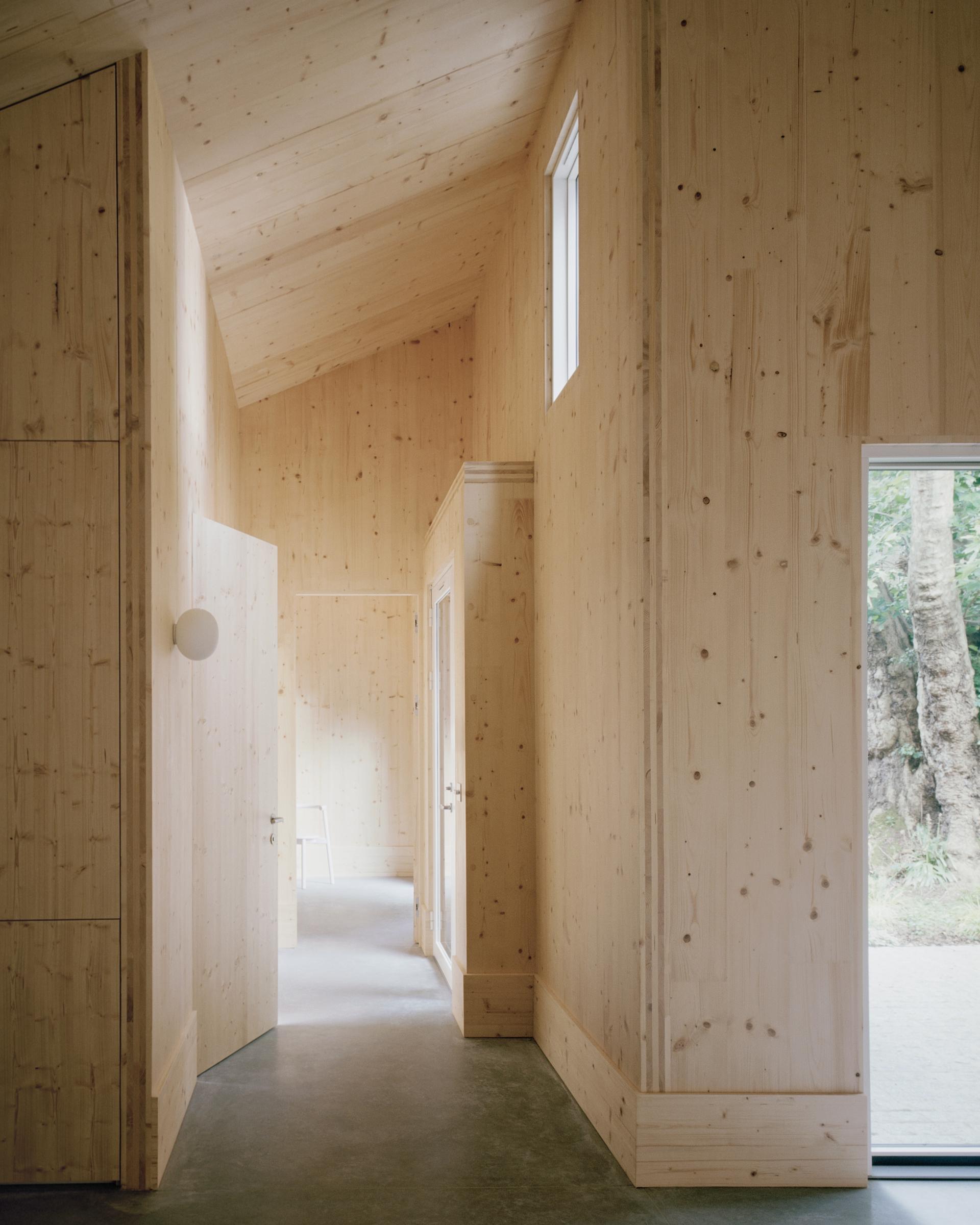 Interior view of Tree Courtyard House featuring cross-laminated timber walls, bright natural light, and minimalist design.