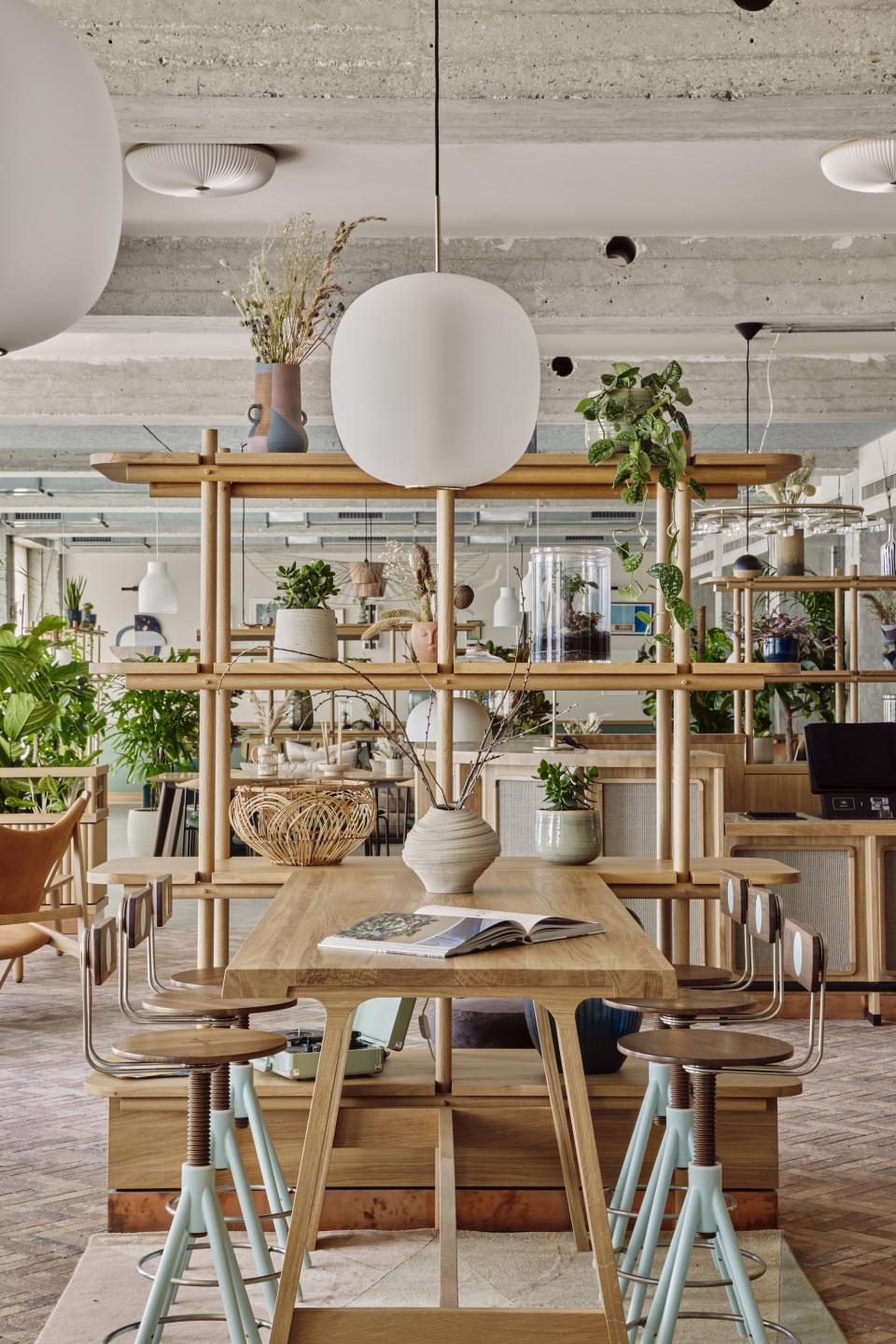Stylish interior of WunderLocke in Munich featuring natural decor, modern furniture, and vibrant greenery.