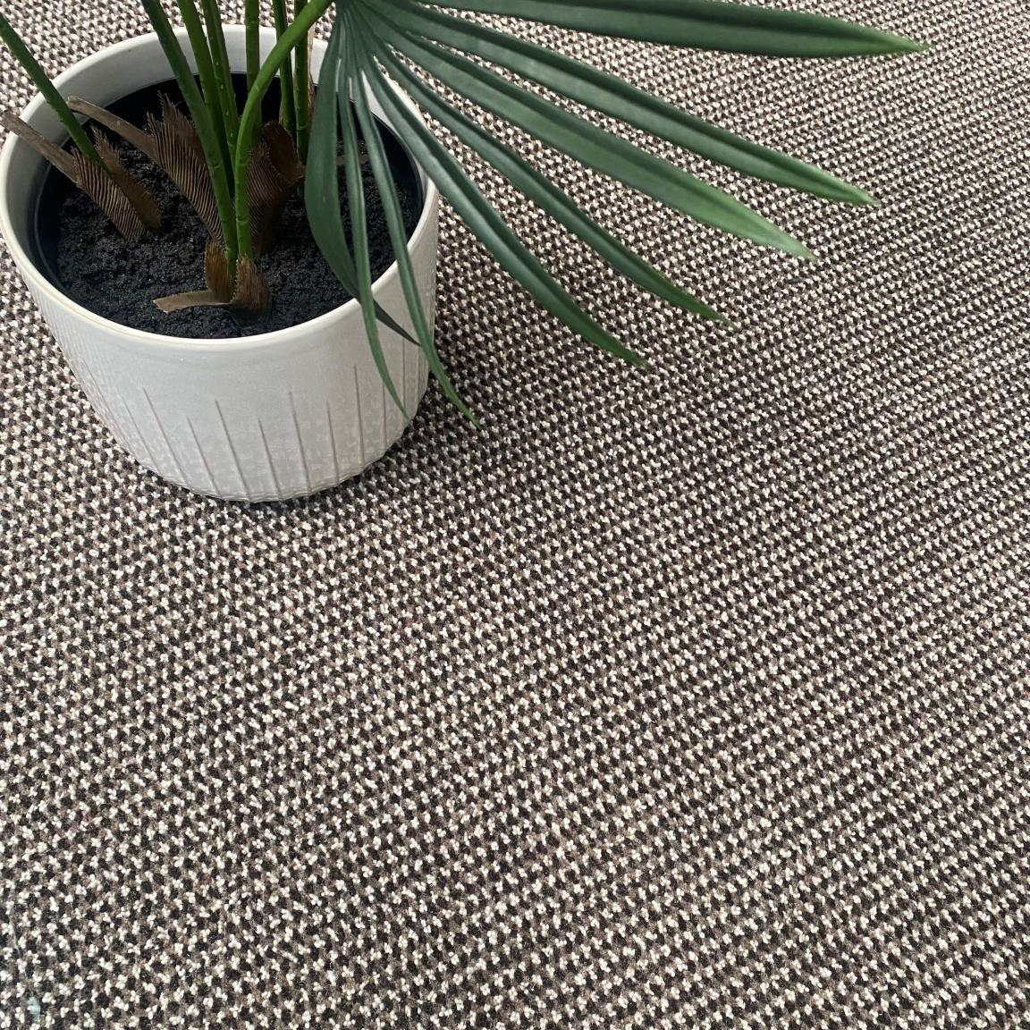 Introducing Tierra: A new carpet collection by Newhey that's grounded in nature.