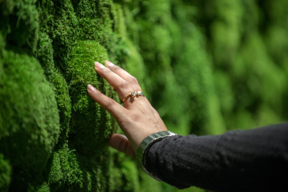 A hand gently touches a vibrant green moss wall, highlighting innovative surface design at the Surface Design Show.
