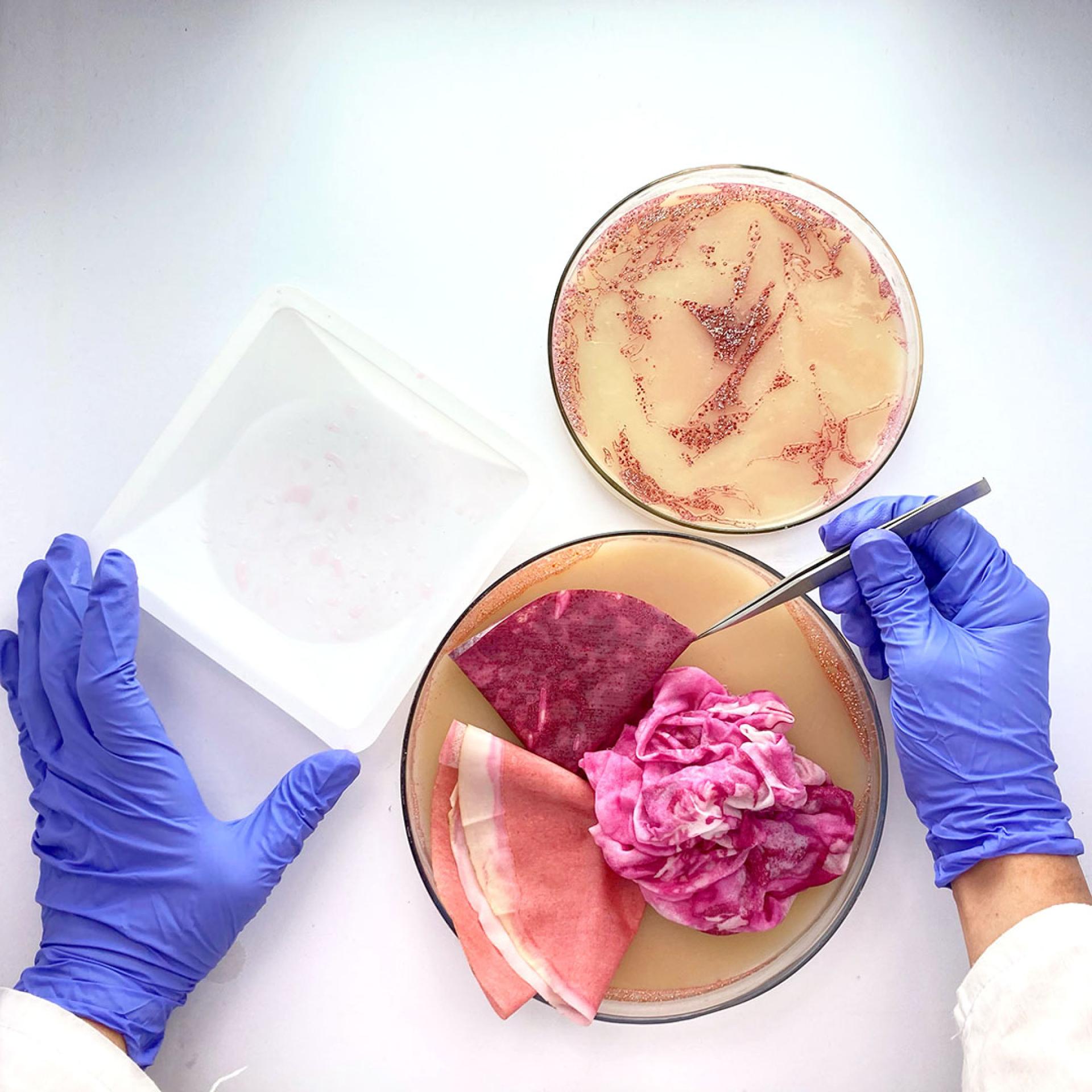 Top 23 biomaterial designers to watch in 2023.