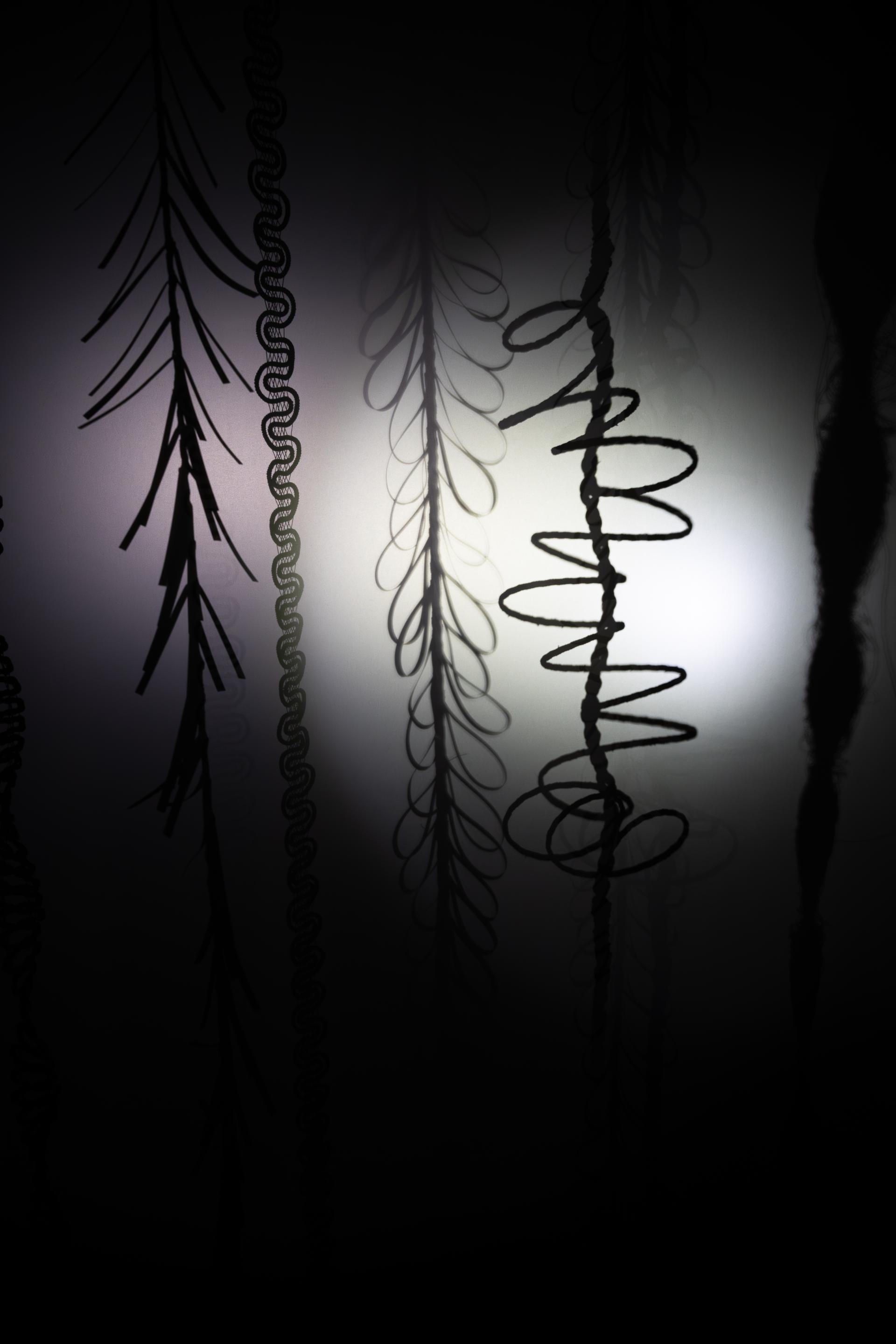 Intricate shadows of organic shapes and forms illuminated, showcasing unique material designs at New Designers 2024.