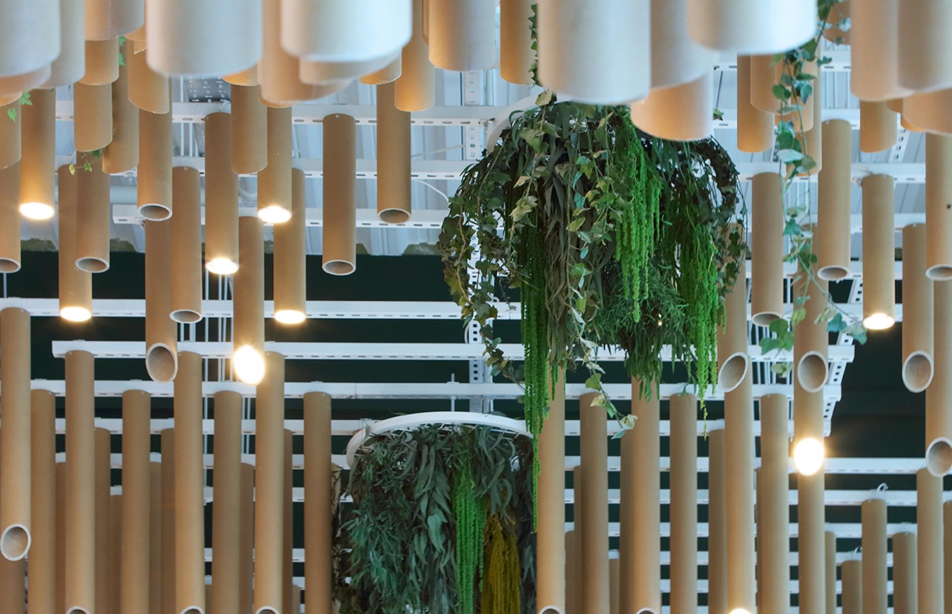 Innovative indoor design featuring hanging plants and cylindrical structures, enhancing the sustainable social hub at Eden, New Bailey.