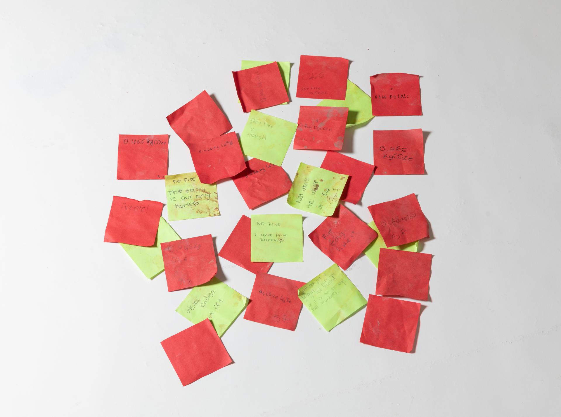 Graduate spotlight: Paola Barreca, Rooted in Clay. 