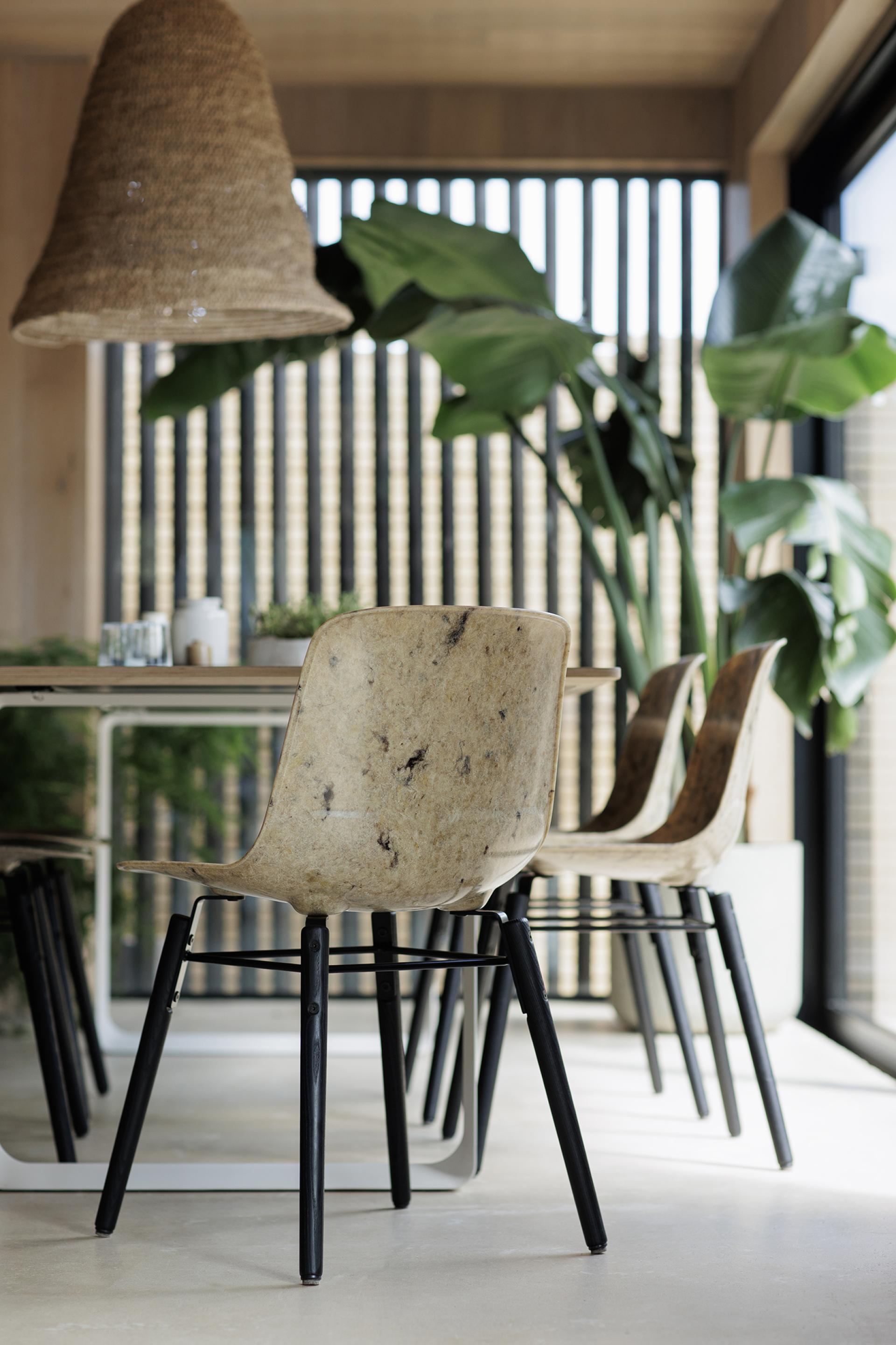Stylish Solidwool chairs made from sustainable British material, showcased in a bright, modern dining area.