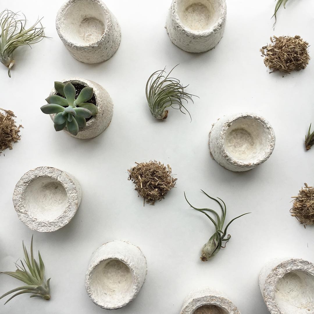 Ecovative mycelium planters. Image © Ecovative Design