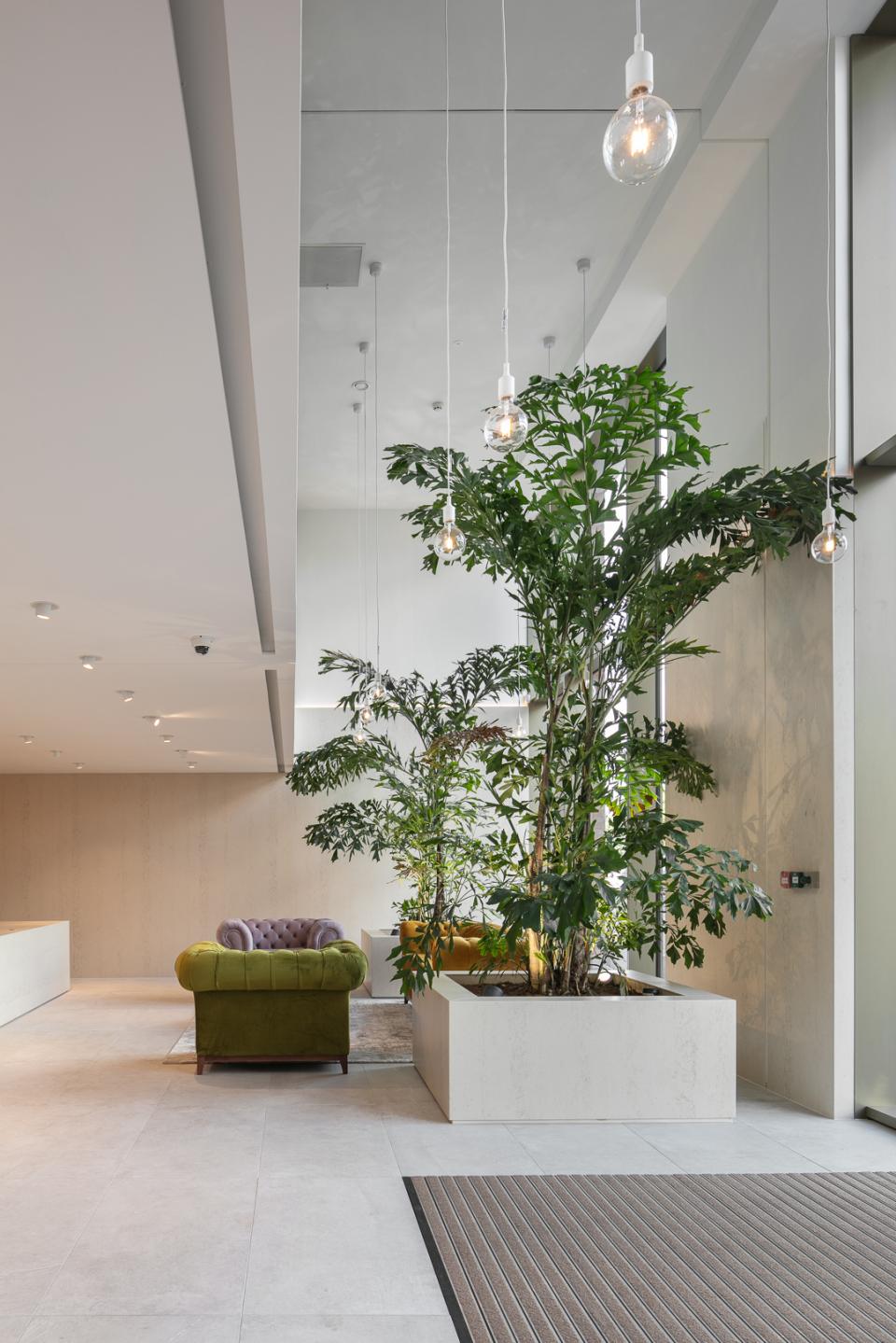 Modern showroom interior featuring lush greenery, stylish furniture, and decorative lighting, highlighting Studio Power's design for Salboy.