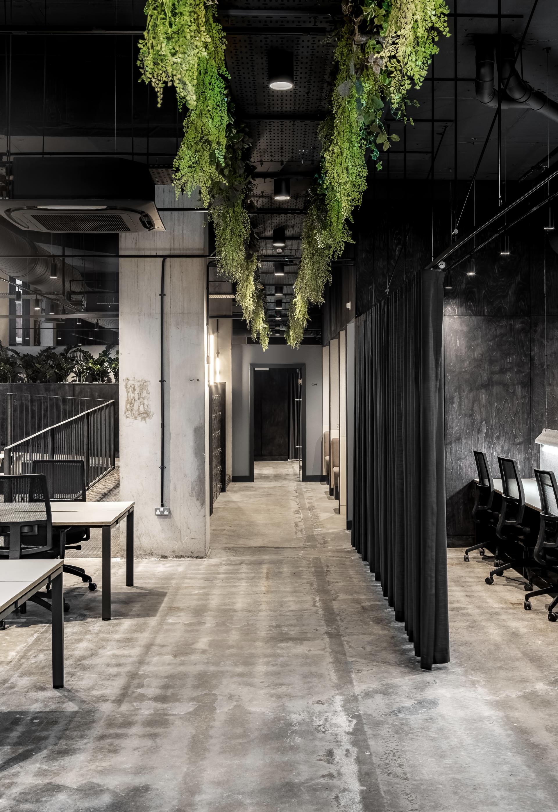 Modern co-working space with suspended greenery, sleek furnishings, and minimalist design aesthetics in a stylish Manchester studio.