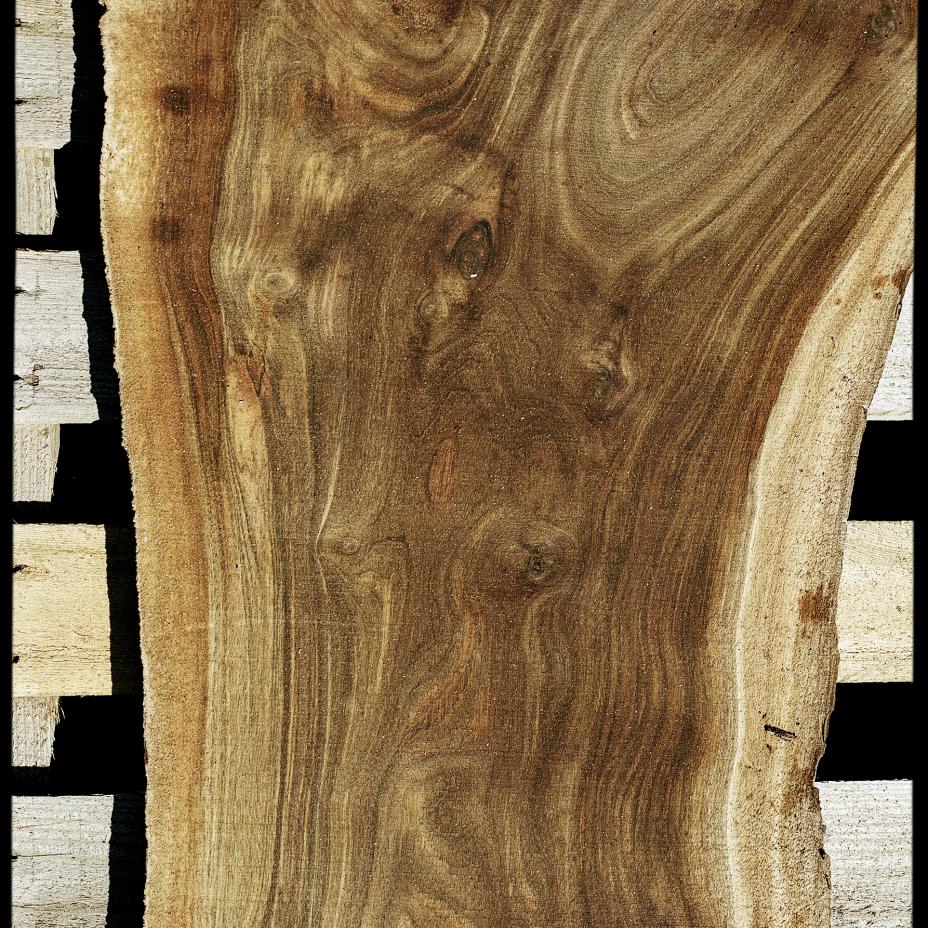 Urban felled timber