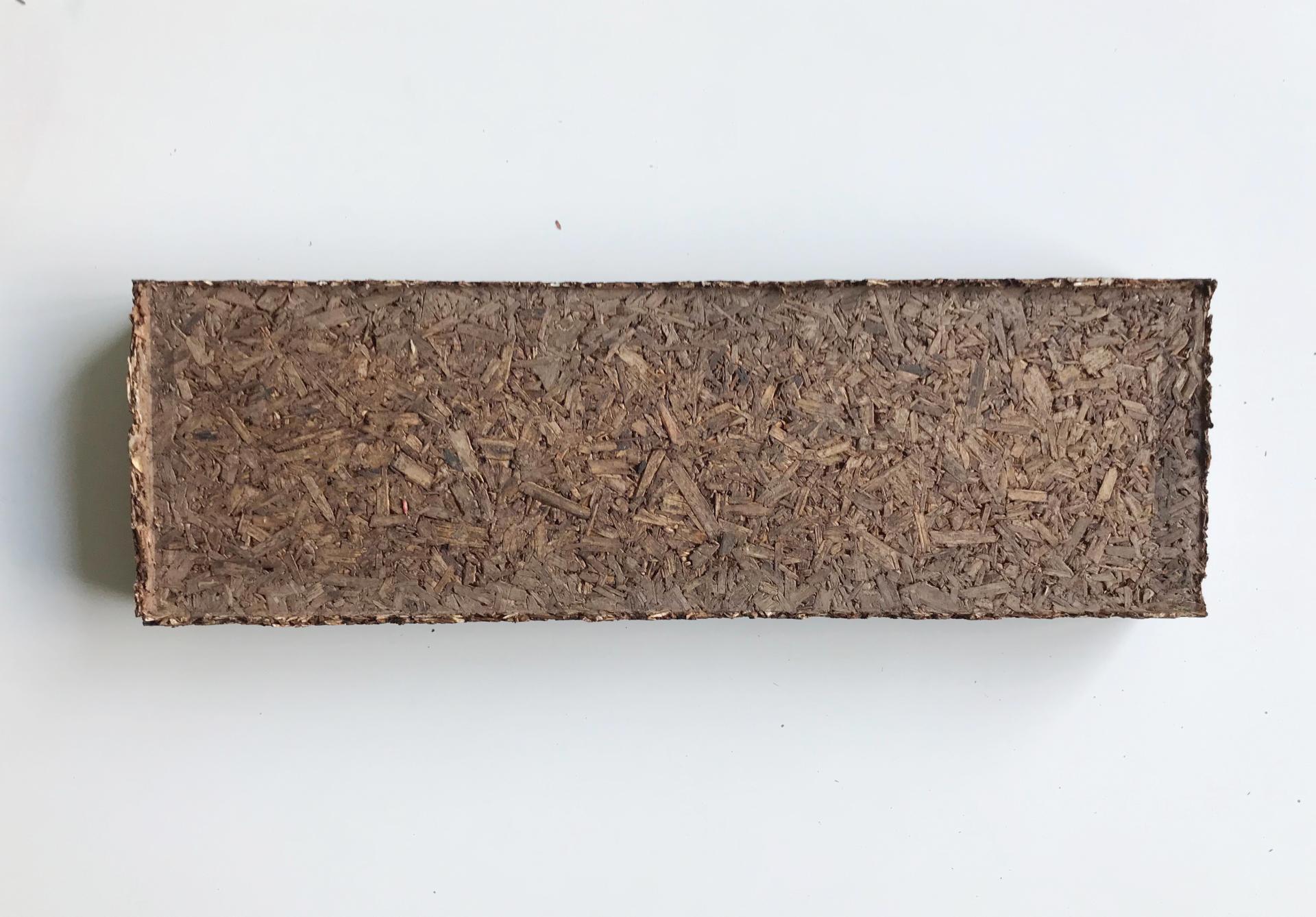 Austėja Platūkytė