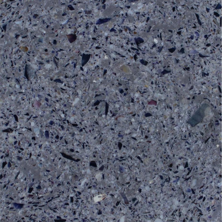 Seafossil Terrazzo