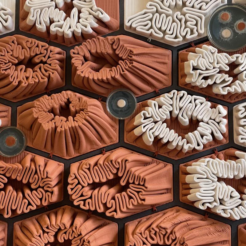 Microbiome Modulators